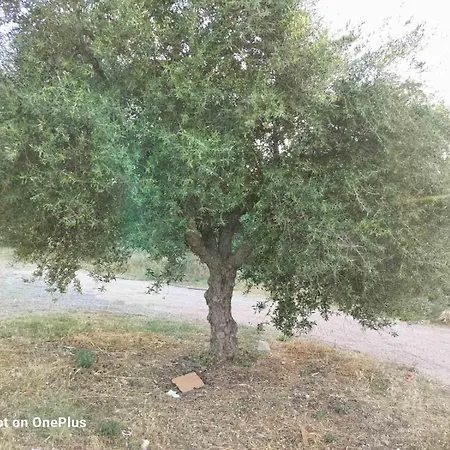 Casa vacanze Divanis K.a Pastida
